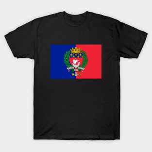 Flag of Paris T-Shirt